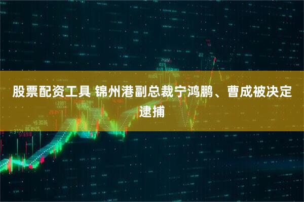 股票配资工具 锦州港副总裁宁鸿鹏、曹成被决定逮捕